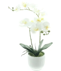 Kunstpflanzen|Frank Handels GmbH & Co. KG Orchidee "White Butterfly" im Topf