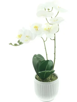 Kunstpflanzen|Frank Handels GmbH & Co. KG Orchidee "White Butterfly" im Topf