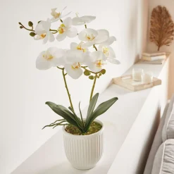 Kunstpflanzen|Frank Handels GmbH & Co. KG Orchidee