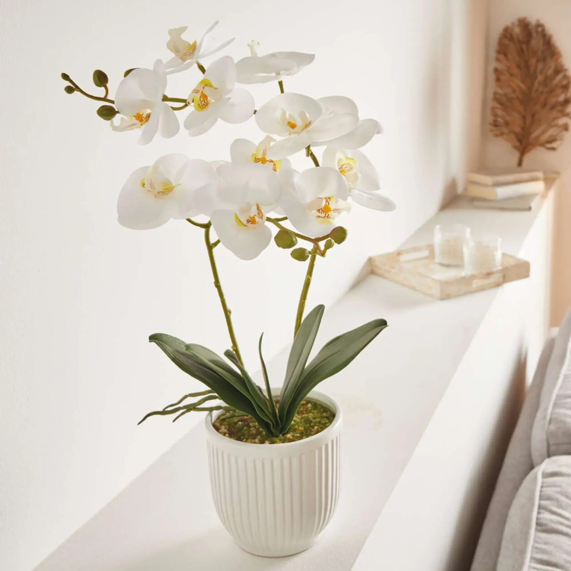 Kunstpflanzen|Frank Handels GmbH & Co. KG Orchidee "White Butterfly" im Topf