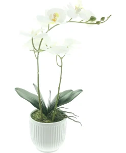 Kunstpflanzen|Frank Handels GmbH & Co. KG Orchidee