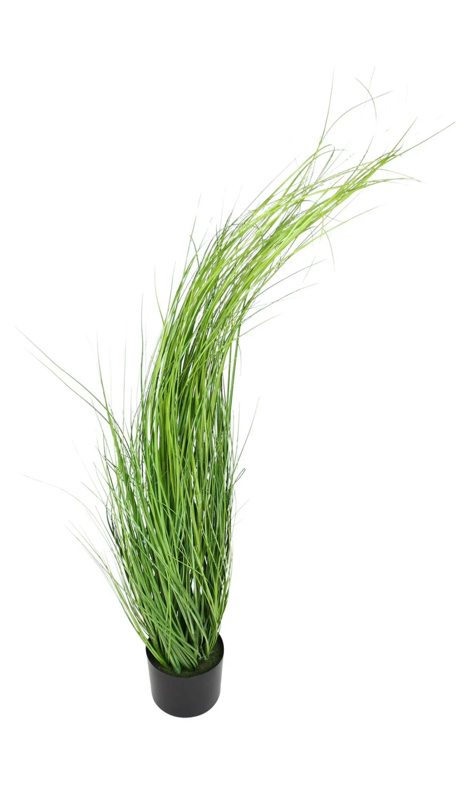 Kunstpflanzen|Frank Handels GmbH & Co. KG Pflanze "Gras"