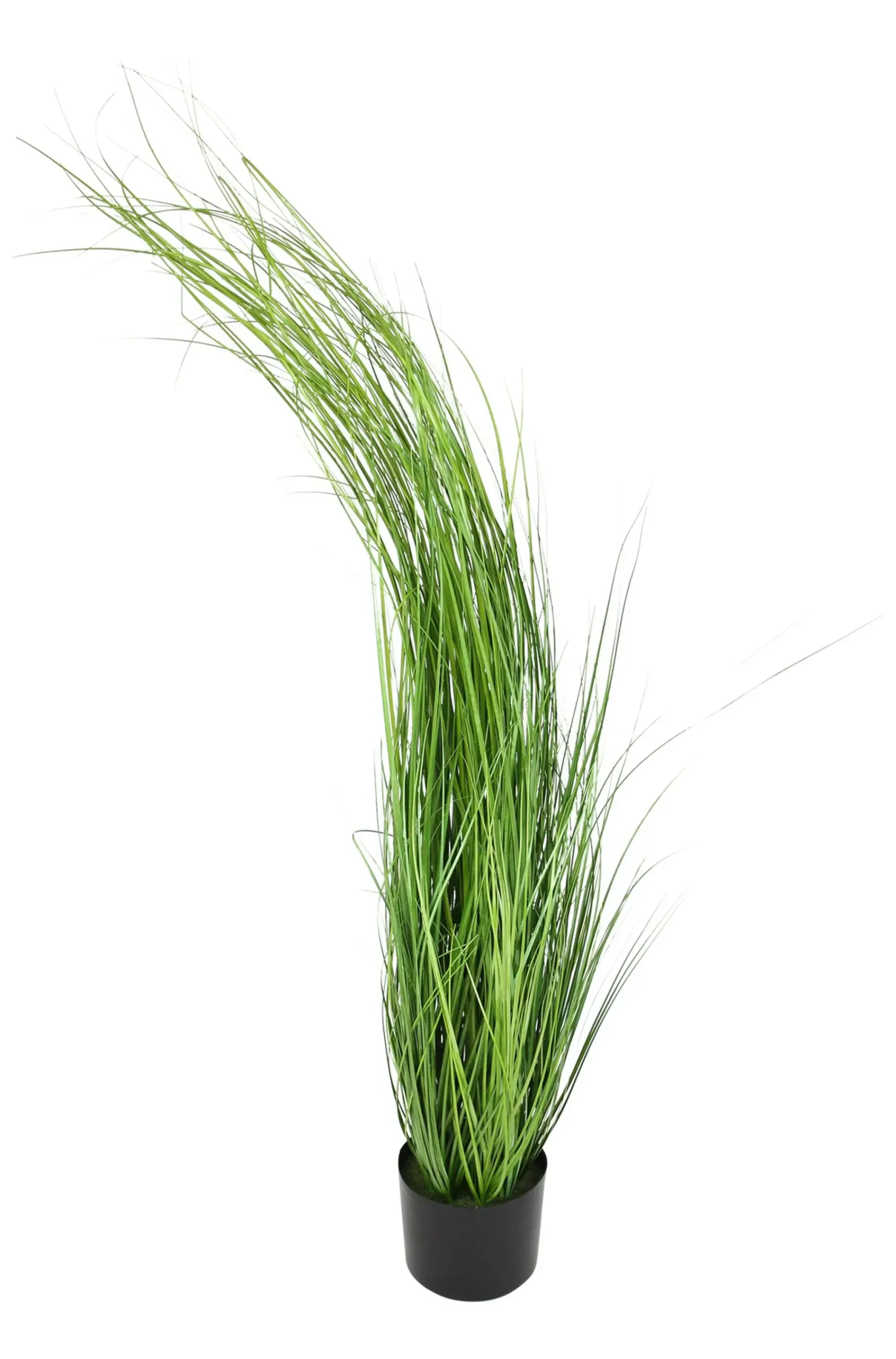 Kunstpflanzen|Frank Handels GmbH & Co. KG Pflanze "Gras"