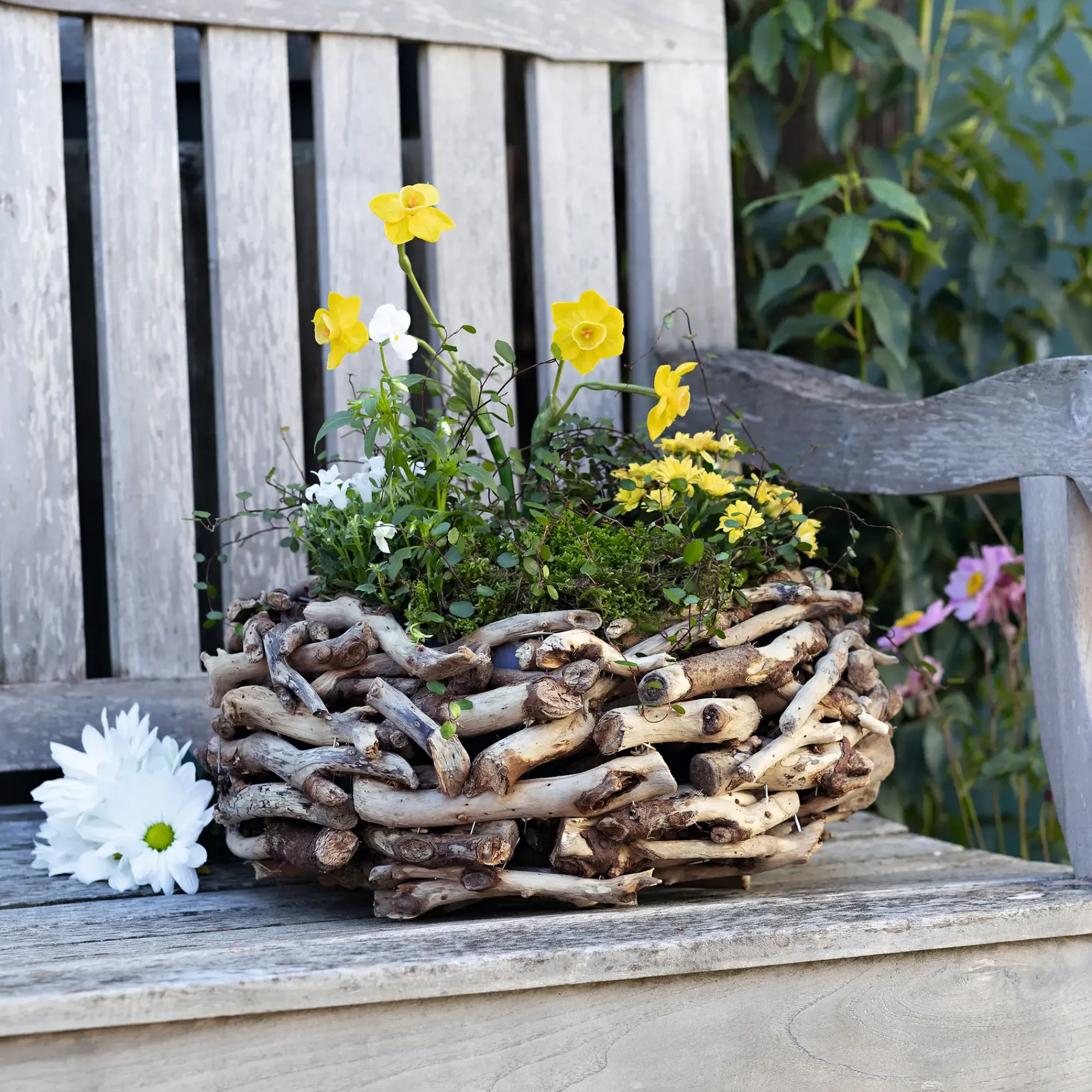 Weihnachtliche Pflanzer|Frank Handels GmbH & Co. KG Pflanzer "Treibholz"