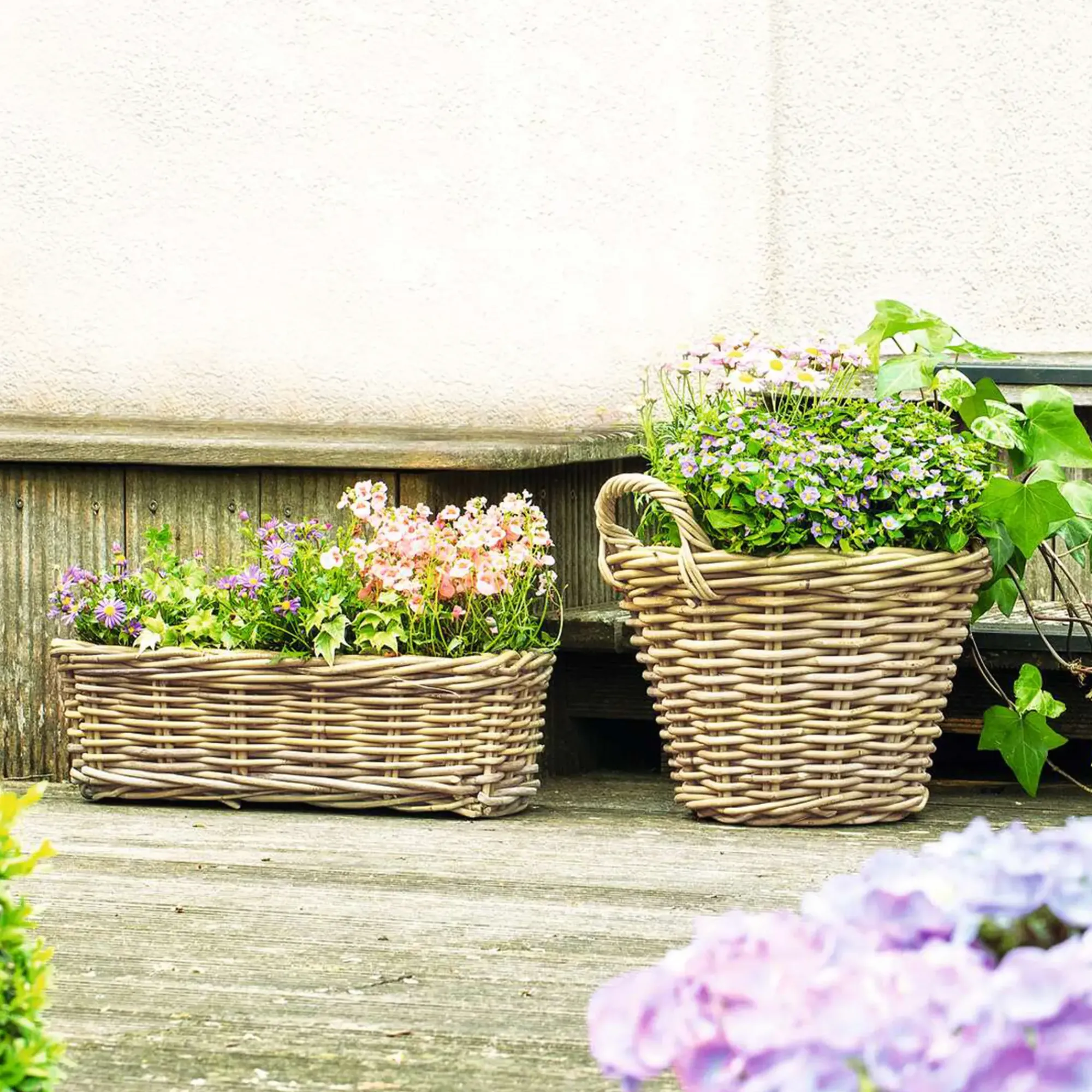 Herbstgarten|Pflanzkörbe|Frank Handels GmbH & Co. KG Pflanzkasten "Rattan", klein