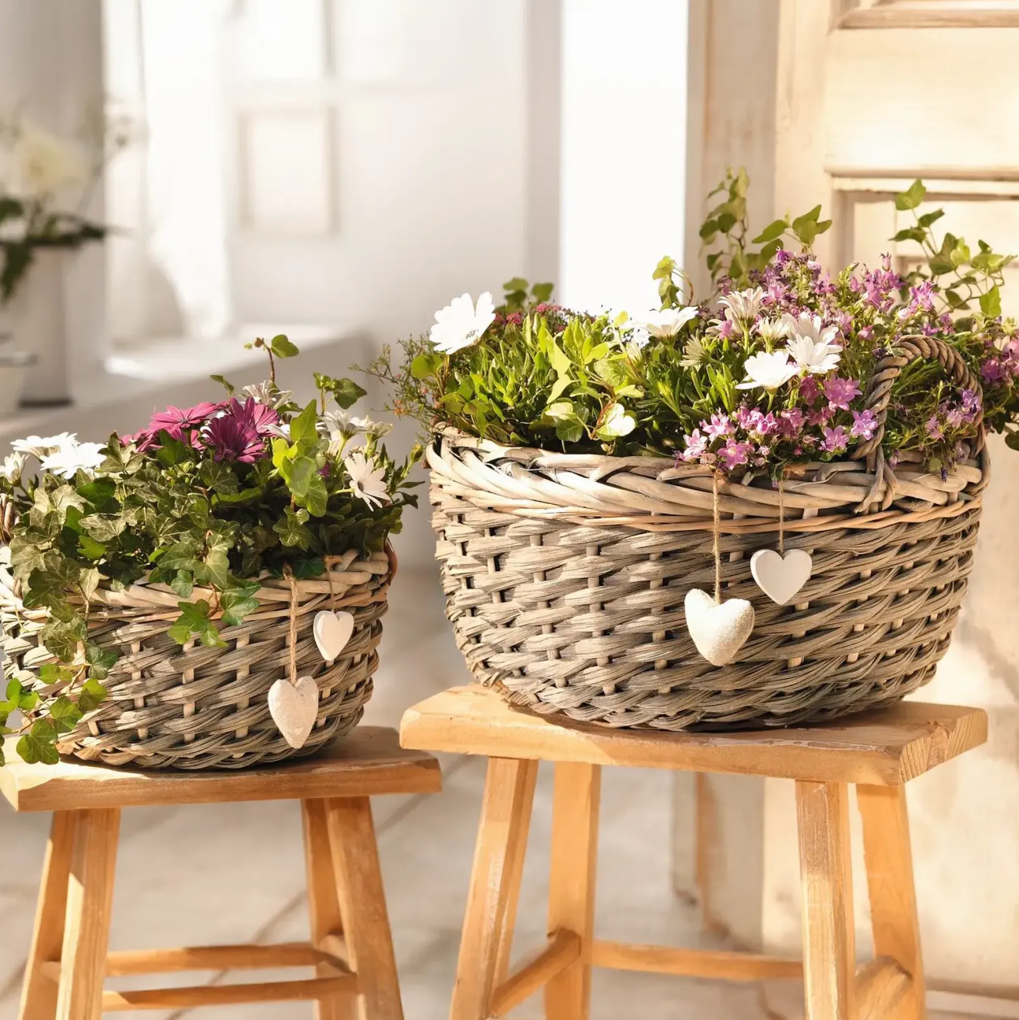 Pflanzkörbe|Grabschmuck|Frank Handels GmbH & Co. KG Pflanzkorb "Herzen", 2er Set