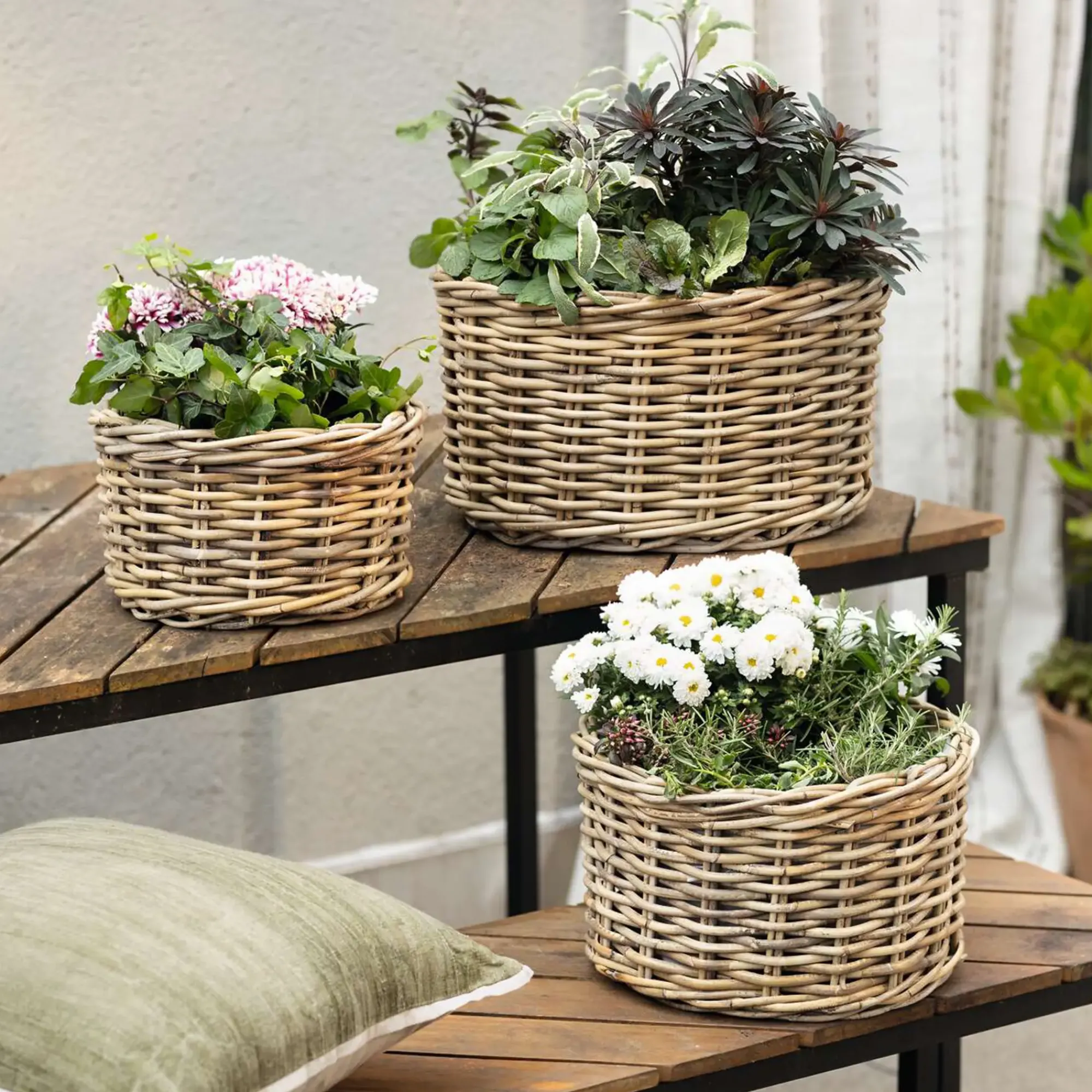 Pflanzkörbe|Weihnachtliche Pflanzer|Frank Handels GmbH & Co. KG Pflanzkorb "Rattan", 3er Set