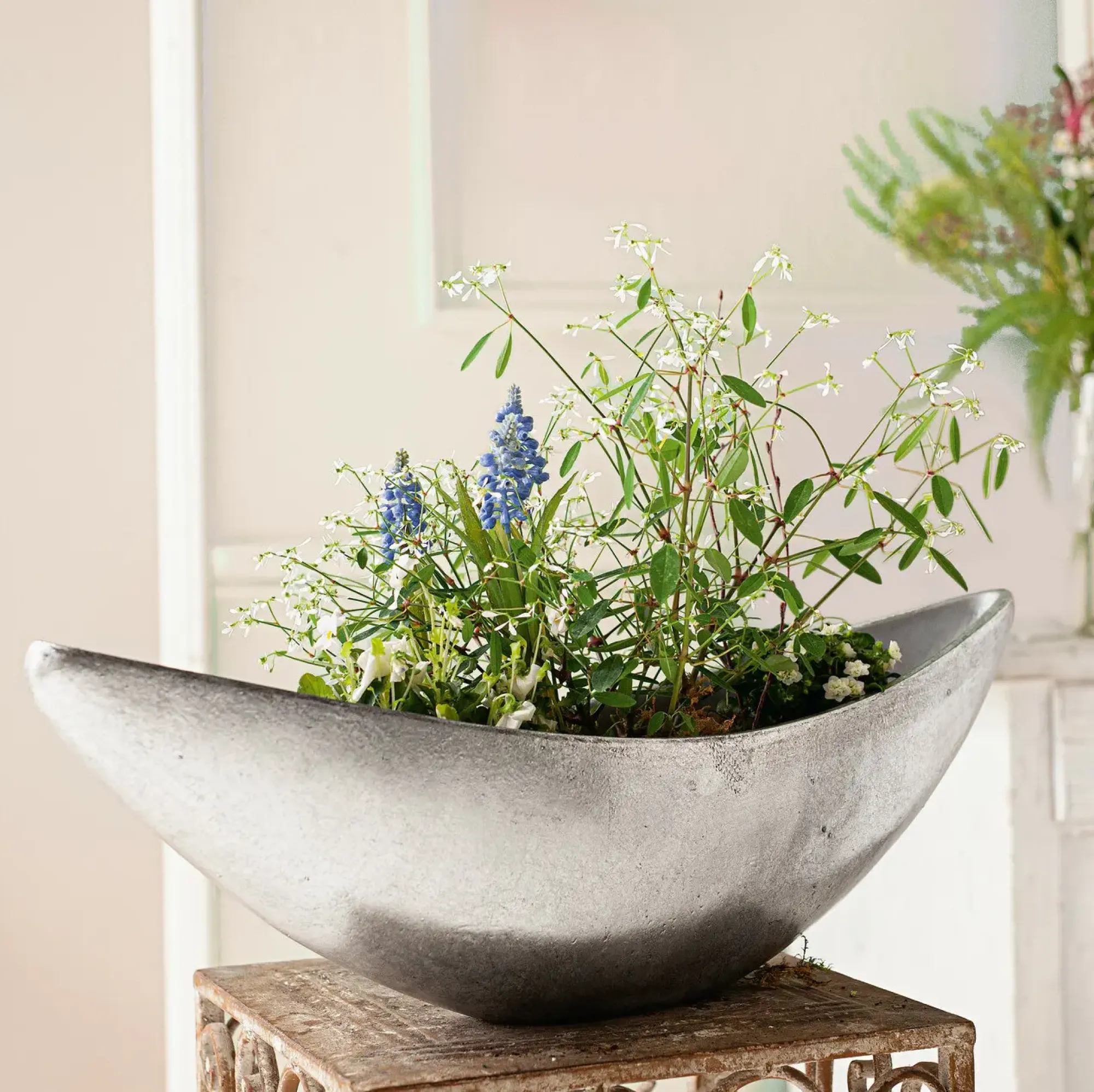 Dekoschalen & -Etageren|Frank Handels GmbH & Co. KG Pflanzschale "Silber"