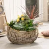 Pflanzkörbe|Weihnachtliche Gartendeko|Frank Handels GmbH & Co. KG Pflanzschiff "Rattan"