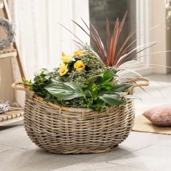 Pflanzkörbe|Weihnachtliche Gartendeko|Frank Handels GmbH & Co. KG Pflanzschiff "Rattan"