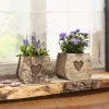 Pflanztöpfe|Frank Handels GmbH & Co. KG Pflanztasche "Birkenherz", 2er Set
