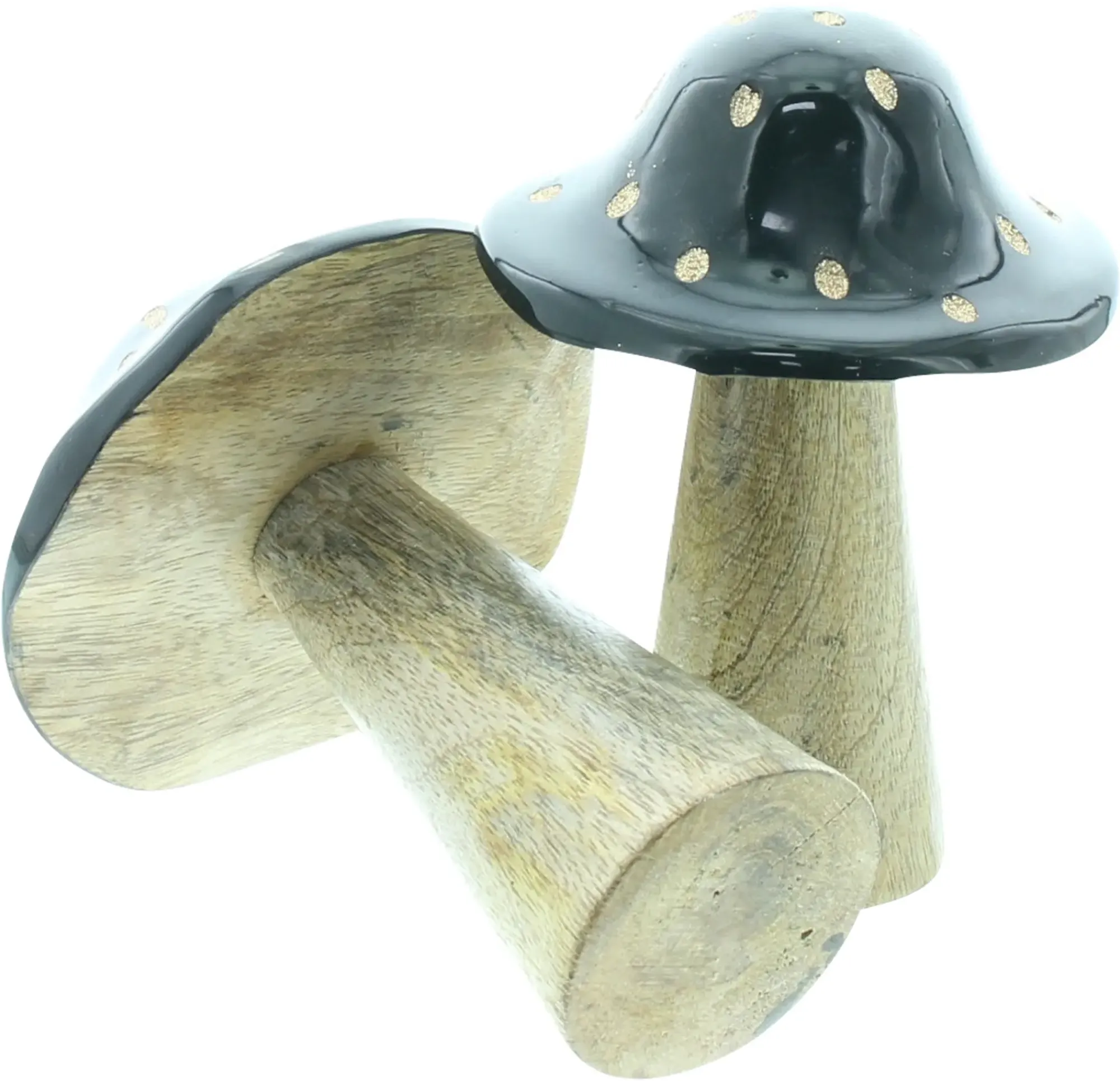 Dekopilze|Frank Handels GmbH & Co. KG Pilz "Blacky", 2er Set