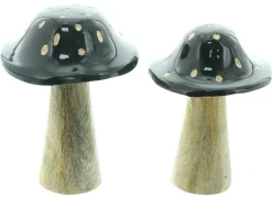 Dekopilze|Frank Handels GmbH & Co. KG Pilz