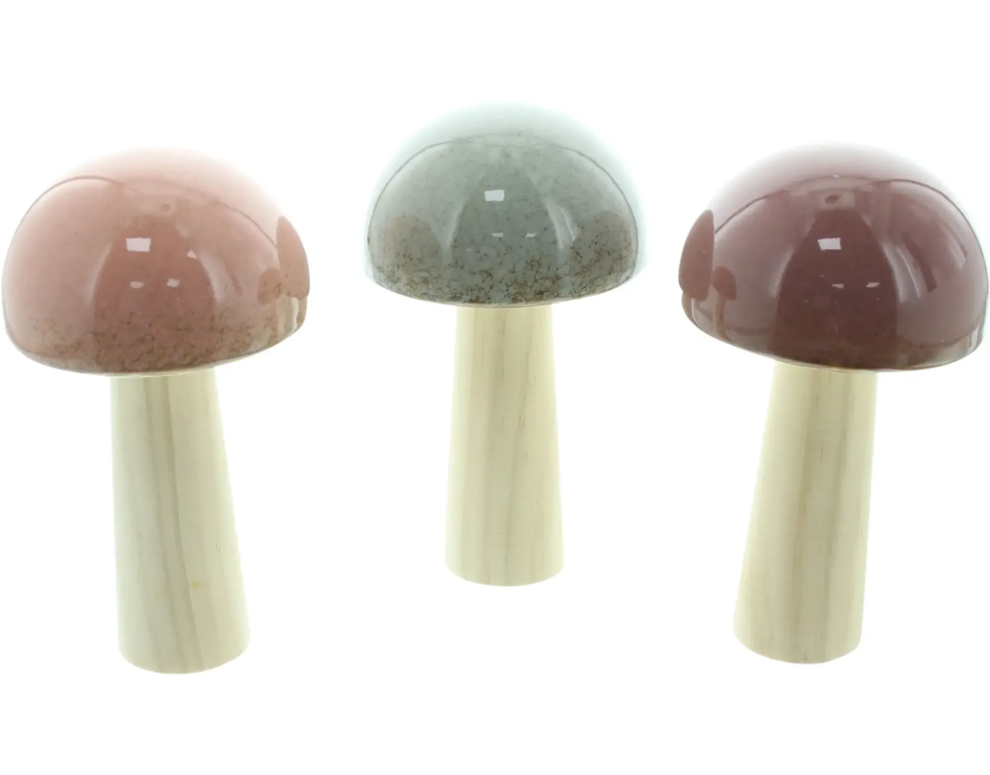 Dekopilze|Frank Handels GmbH & Co. KG Pilz "Glossy", 3er Set