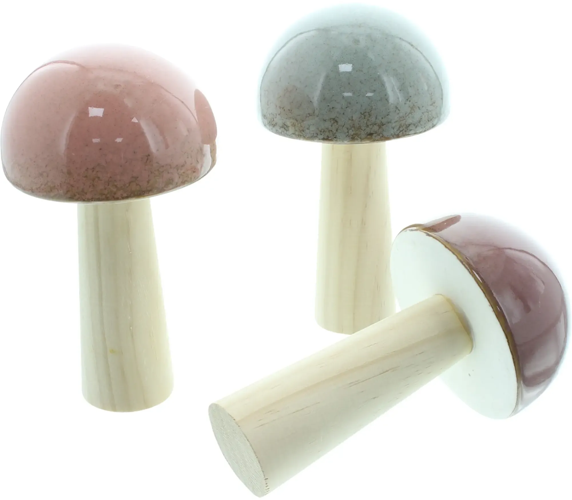 Dekopilze|Frank Handels GmbH & Co. KG Pilz "Glossy", 3er Set