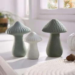 Dekopilze|Frank Handels GmbH & Co. KG Pilz 
