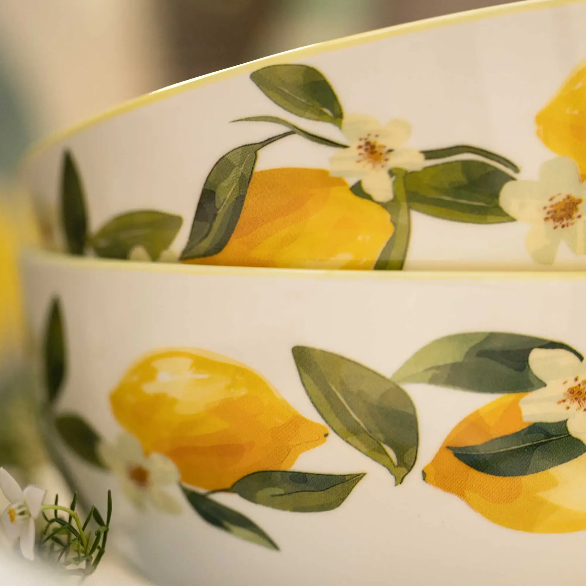 Geschirr|Frank Handels GmbH & Co. KG Schüssel "Summer Feeling", 2er Set