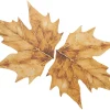 Herbstliche Tischwäsche|Frank Handels GmbH & Co. KG Tischset "Maple Leave", 2er Set