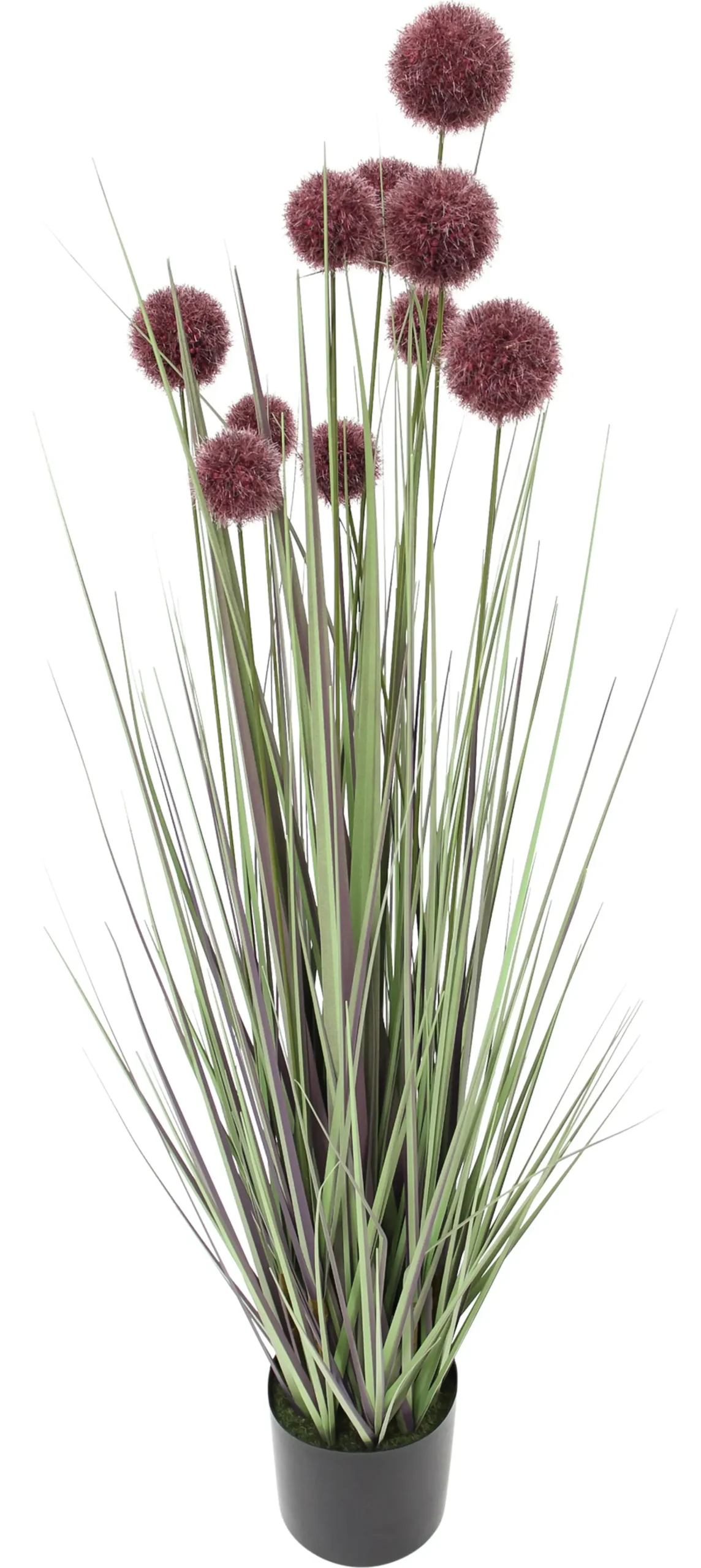 Kunstpflanzen|Flur|Frank Handels GmbH & Co. KG Topfpflanze "Allium"