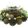 Herbstlichter|Frank Handels GmbH & Co. KG Windlicht "Herbst-Harmonie"