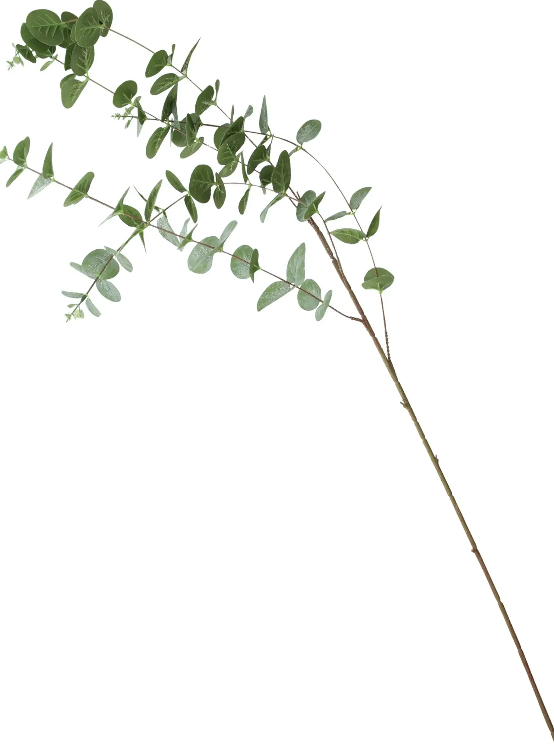 Zubehör Für Adventskränze|Kunstpflanzen|Frank Handels GmbH & Co. KG Zweig "Eukalyptus", 2er Set
