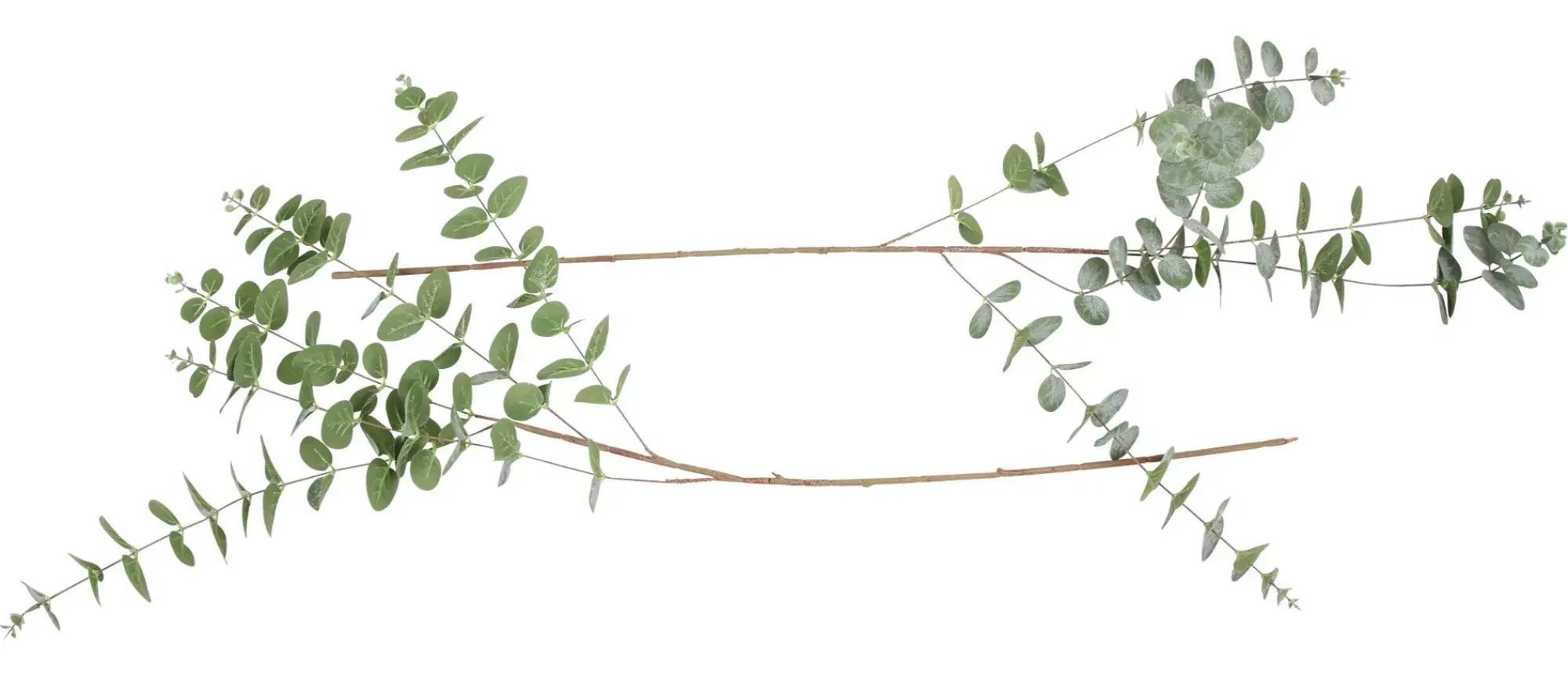 Zubehör Für Adventskränze|Kunstpflanzen|Frank Handels GmbH & Co. KG Zweig "Eukalyptus", 2er Set